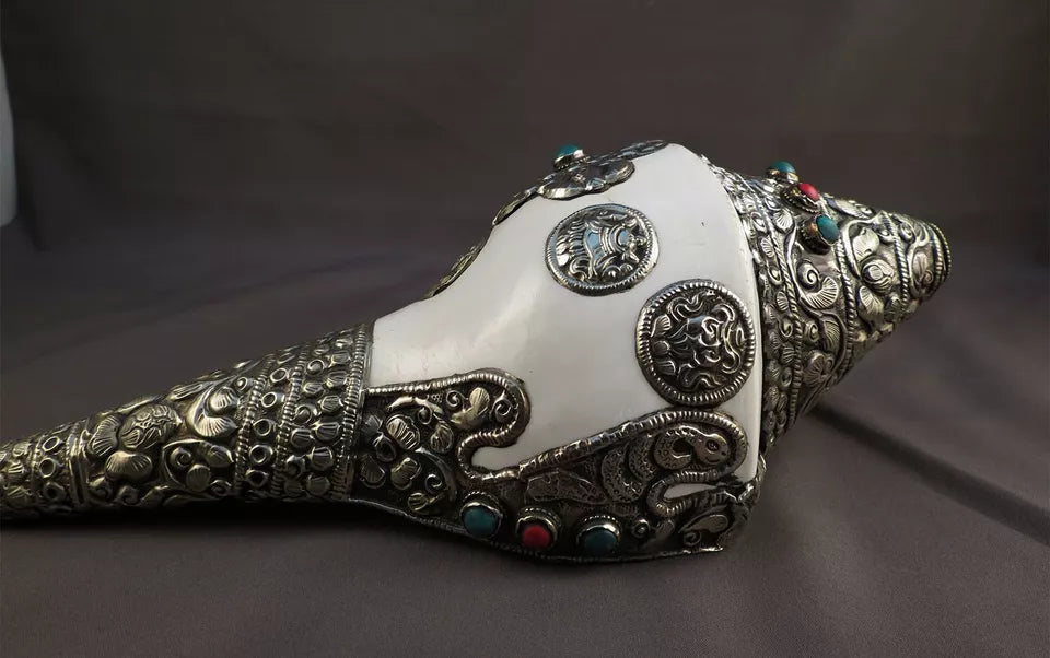 Tibetan Buddhism 8 Auspicious Lucky Sign Double Dorje 10.5" & 5" Ritual Conch Shell Nepal free