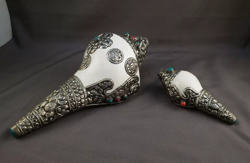 Tibetan Buddhism 8 Auspicious Lucky Sign Double Dorje 10.5" & 5" Ritual Conch Shell Nepal free