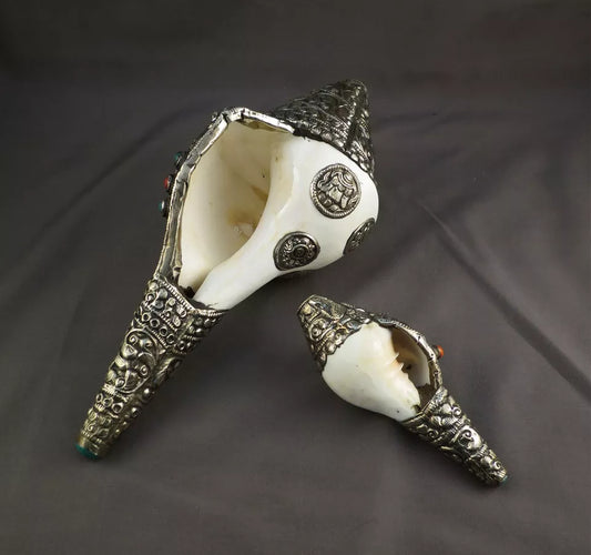 Tibetan Buddhism 8 Auspicious Lucky Sign Double Dorje 10.5" & 5" Ritual Conch Shell Nepal free